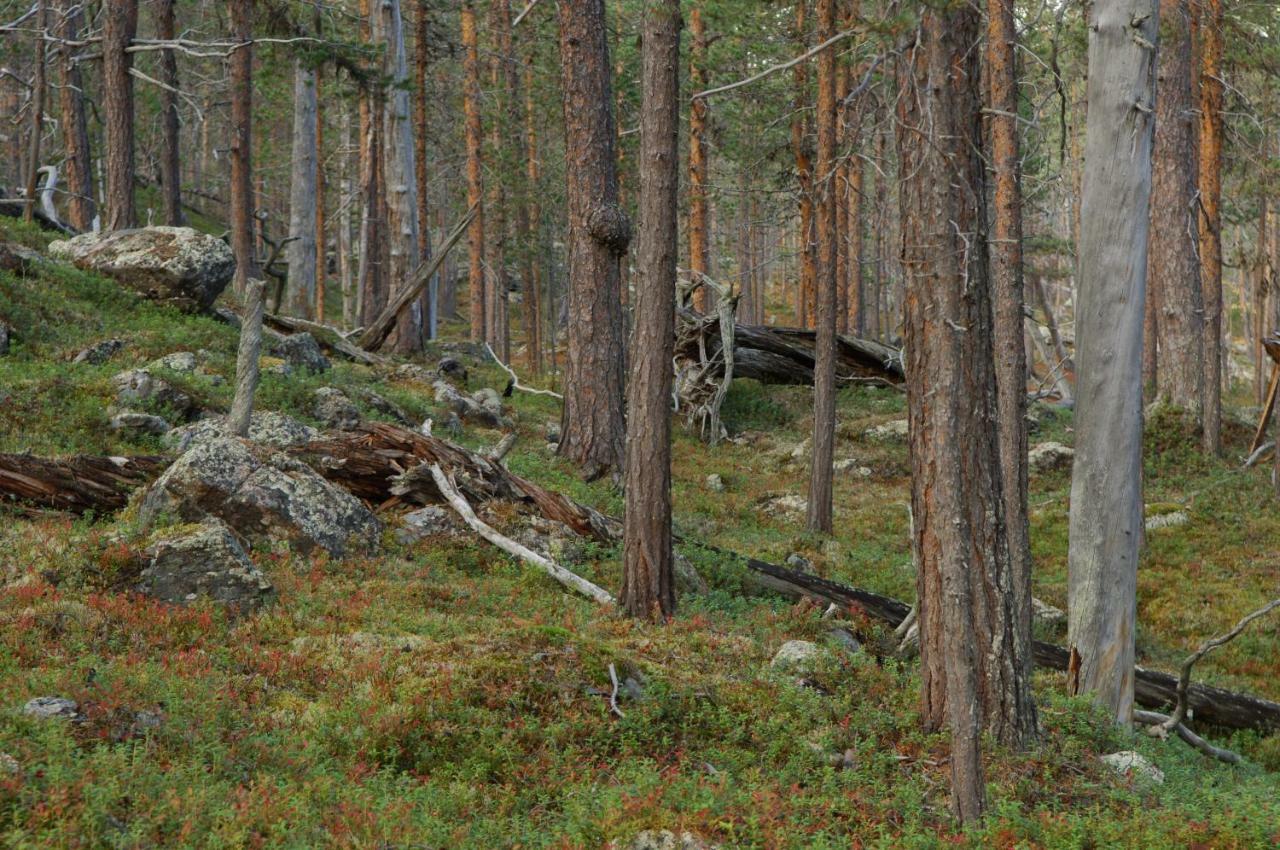 Готель Ahkula House Lemmenjoki Екстер'єр фото